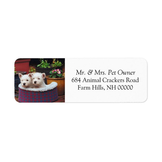 Cute White Puppies Return Address Mail Stickers (Front)
