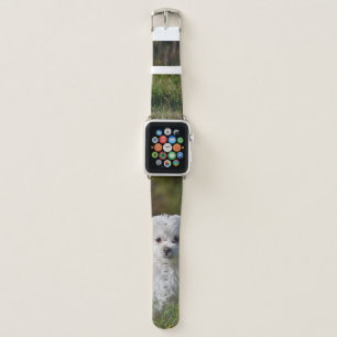 Cute white puppy apple watch band