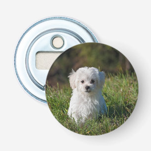 Cute white puppy bottle opener