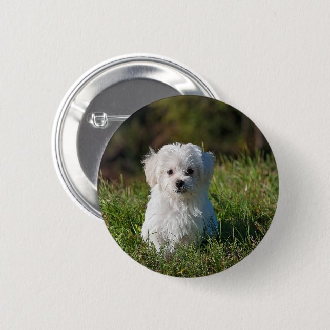 Cute white puppy button (Front & Back)