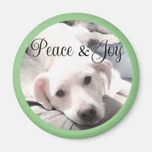 Cute White Puppy Dog Peace and Joy Sage Green Magnet