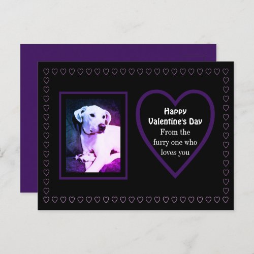 Cute White Puppy Dog Purple Hearts From Pets Postcard