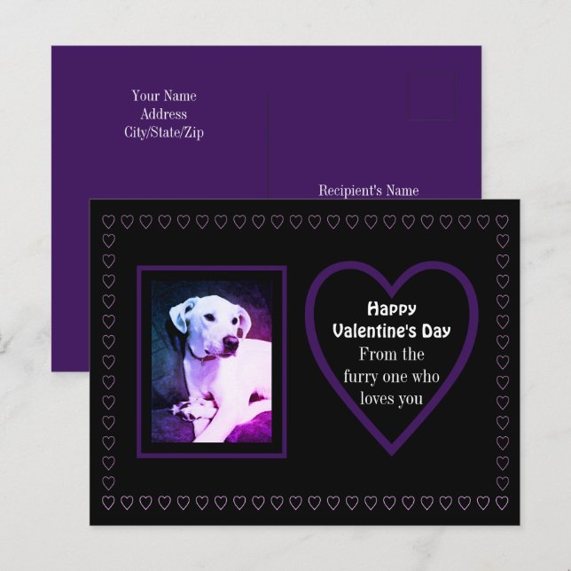 Cute White Puppy Dog Purple Hearts From Pets Postcard (Front/Back)