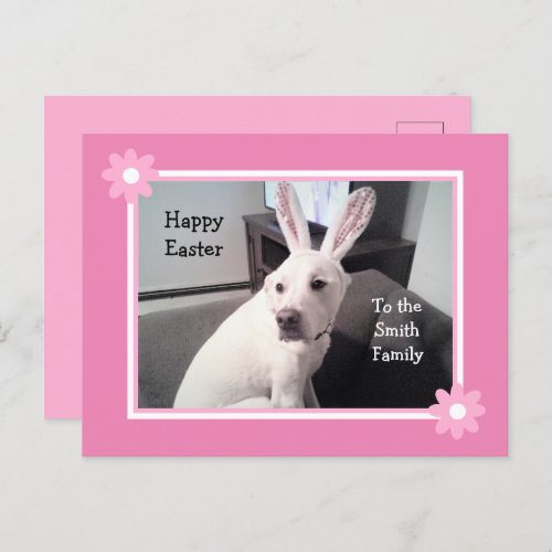 Cute White Puppy Dog Wearing Easter Bunny Ears Pos Postcard