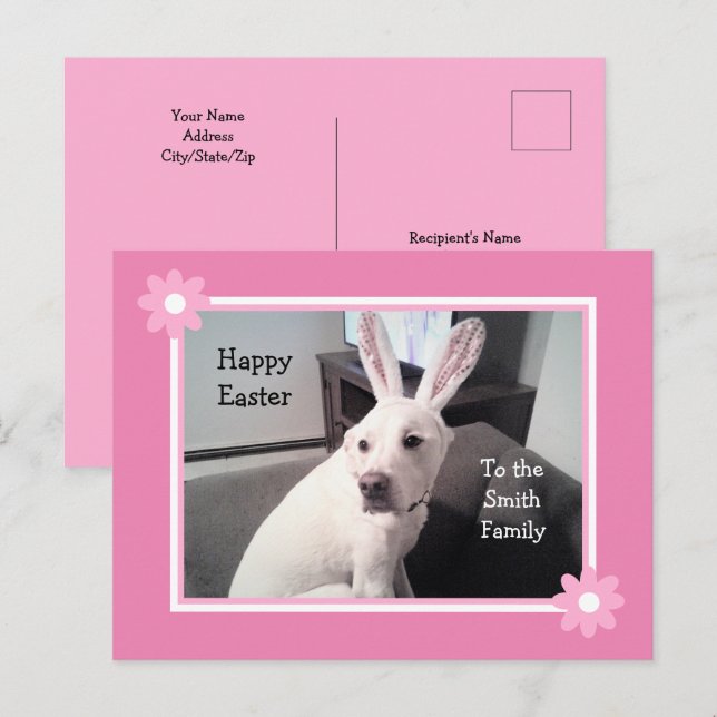 Cute White Puppy Dog Wearing Easter Bunny Ears Pos Postcard (Front/Back)