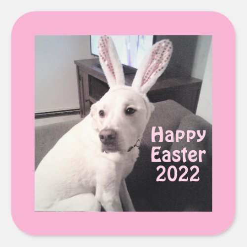 Cute White Puppy Dog Wearing Easter Bunny Ears Square Sticker