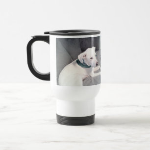Cute White Puppy Dog Wearing Green Scarf Gray Travel Mug