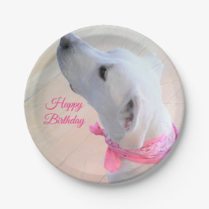 Cute White Puppy Dog Wearing Pink Scarf Paper Plates