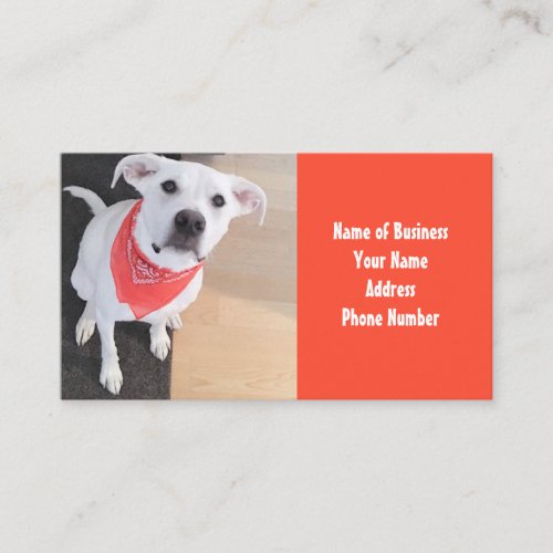 Cute White Puppy Dog Wearing Scarf Orange Business Card
