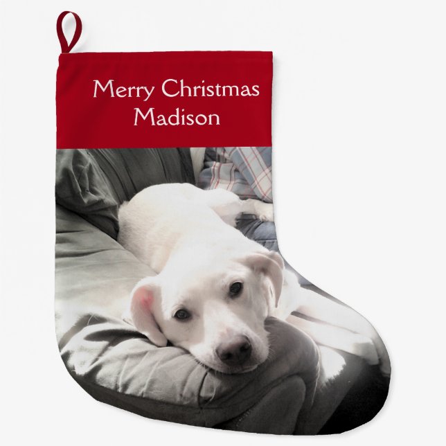 Cute White Puppy Dog With Dad on Couch Red Large C Large Christmas Stocking (Front)