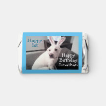 Cute White Puppy Dog With Easter Bunny Ears Blue