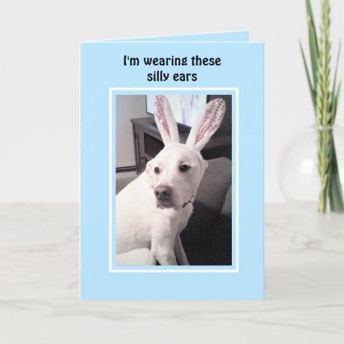 Cute White Puppy Dog With Easter Bunny Ears Blue Holiday Card