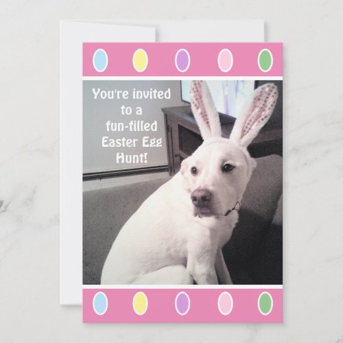 Cute White Puppy Dog With Easter Bunny Ears Party  Invitation