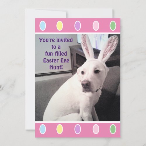 Cute White Puppy Dog With Easter Bunny Ears Party  Invitation