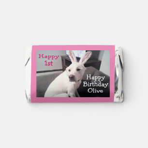 Cute White Puppy Dog With Easter Bunny Ears Pink Hershey's Miniatures