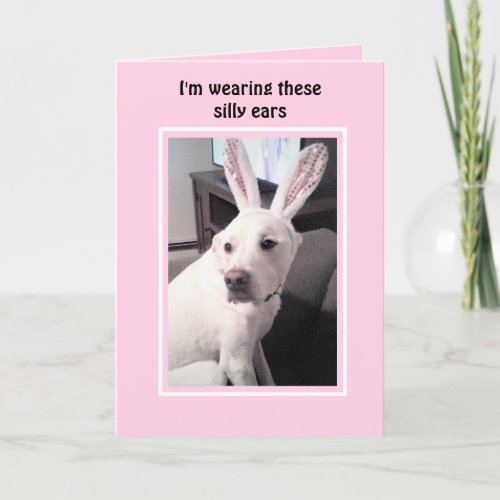 Cute White Puppy Dog With Easter Bunny Ears Pink Holiday Card