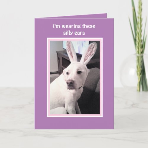 Cute White Puppy Dog With Easter Bunny Ears Purple Holiday Card