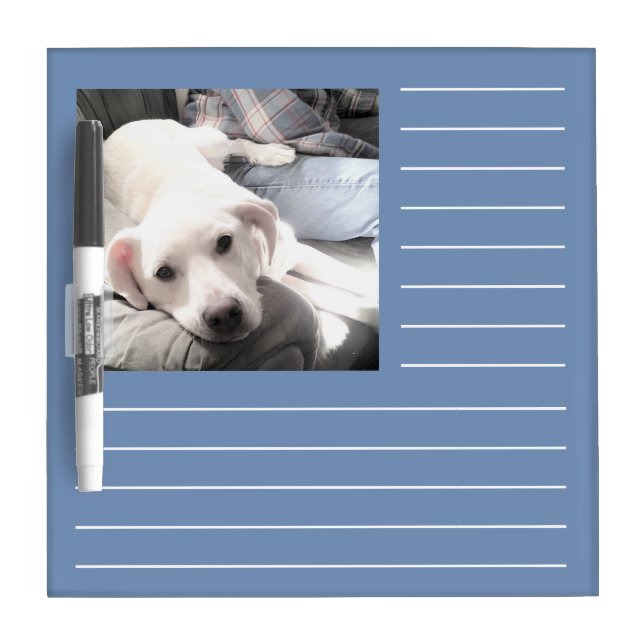 Cute White Puppy Dog With Soulful Eyes Blue Dry Erase Board (Front)