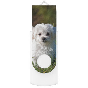 Cute white puppy flash drive