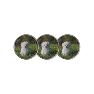 Cute white puppy golf ball marker