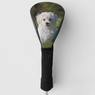 Cute white puppy golf head cover