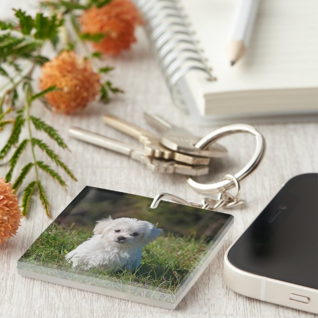 Cute white puppy keychain (Front Right)