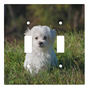 Cute white puppy light switch cover