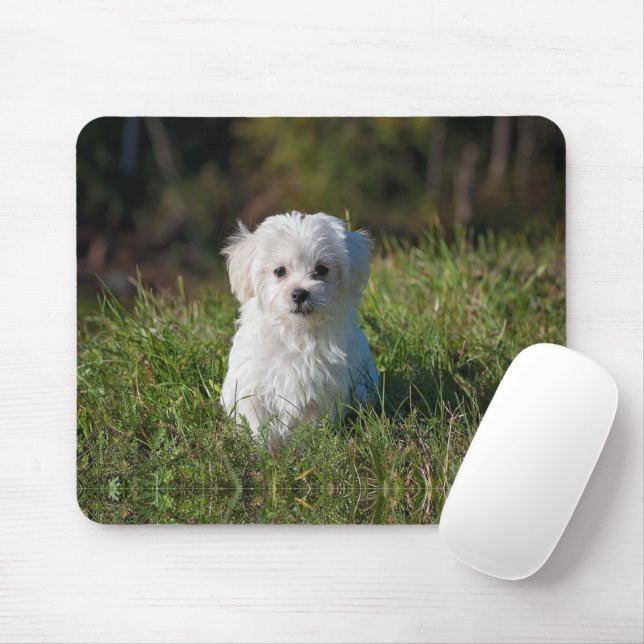 Cute white puppy mouse pad (With Mouse)
