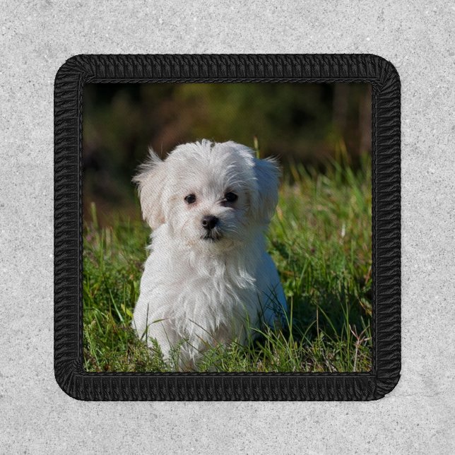 Cute white puppy patch (Front)
