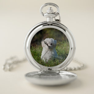 Cute white puppy pocket watch