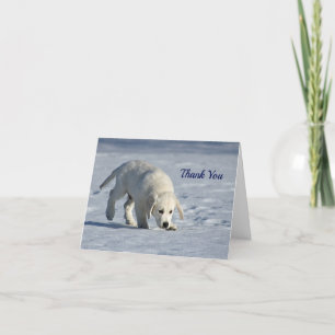 Cute White Puppy Snow Photo Thank You Card