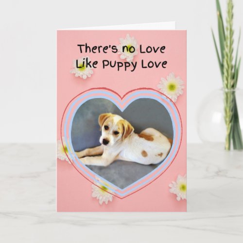 Cute White Puppy Valentines Day Card