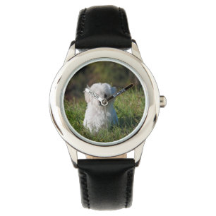 Cute white puppy watch