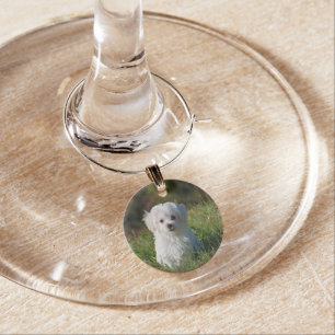 Cute white puppy wine charm