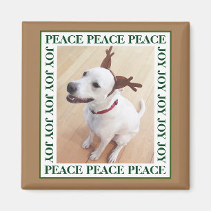 Cute White Reindeer Puppy Dog Peace Joy Brown Magnet