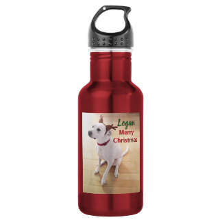 Cute White Reindeer Puppy Dog Photo Christmas Stainless Steel Water Bottle