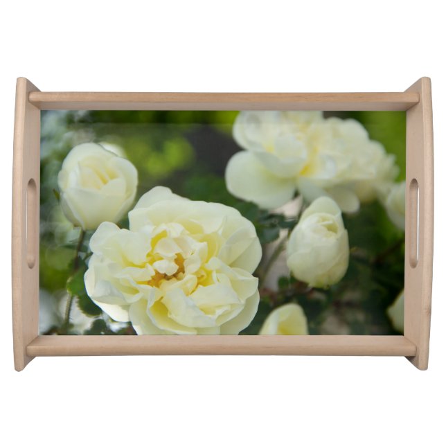 Cute white roses for positive   serving tray (Front)