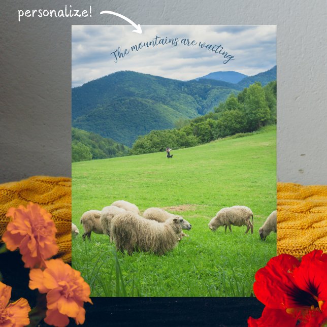 Cute white sheep and picturesque mountains  holiday postcard (Creator Uploaded)
