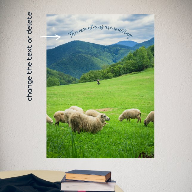 Cute white sheep in a meadow under the mountain poster (Creator Uploaded)