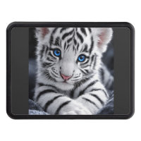 Cute White Tiger Cub Blue Eyes Wildlife Poster