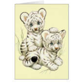Cute White Tiger Cubs (Front)