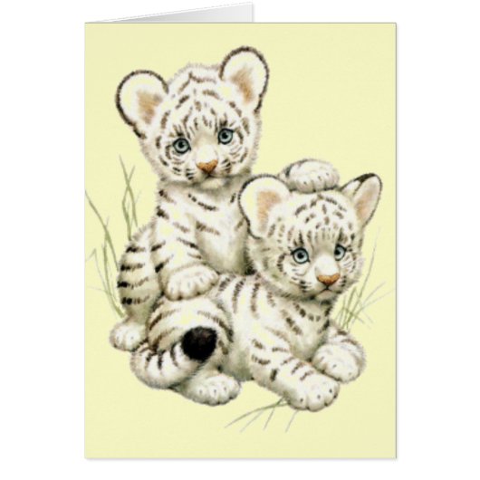 Cute White Tiger Cubs (Front)