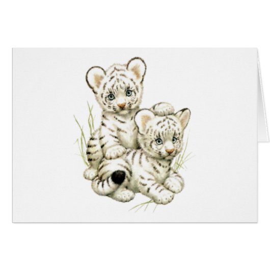 Cute White Tiger Cubs (Front Horizontal)