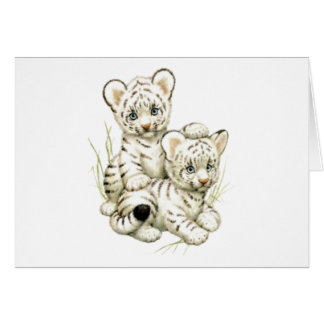 Cute White Tiger Cubs Cards