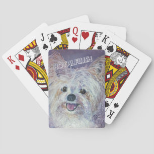 CUTE WHITE YORKIE MIX POKER CARDS