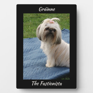 Cute White Yorkshire Terrier Plaque