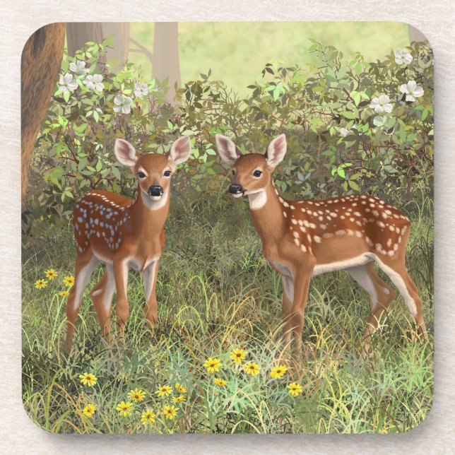 Cute Whitetail Deer Twin Fawns Drink Coaster (Front)