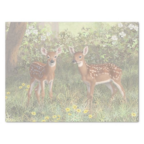 Cute Whitetail Deer Twin Fawns Tissue Paper