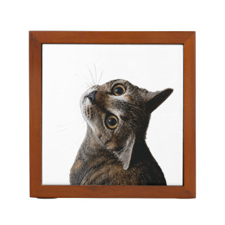 Cute Wide-Eyed Tabby Cat Ceramic Wood Desk Organiz Organizer
