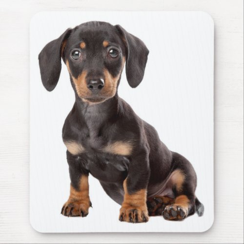 Cute Wiener Dog Doxin Lover Gift Dog Mom Dachshund Mouse Pad